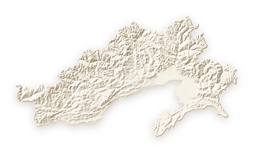 Shaded relief map of Arunachal Pradesh