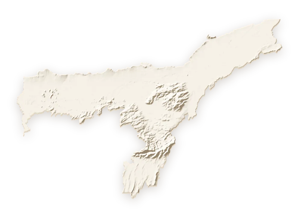 Shaded relief map of Assam